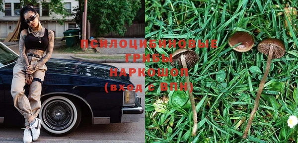 кокс Бородино
