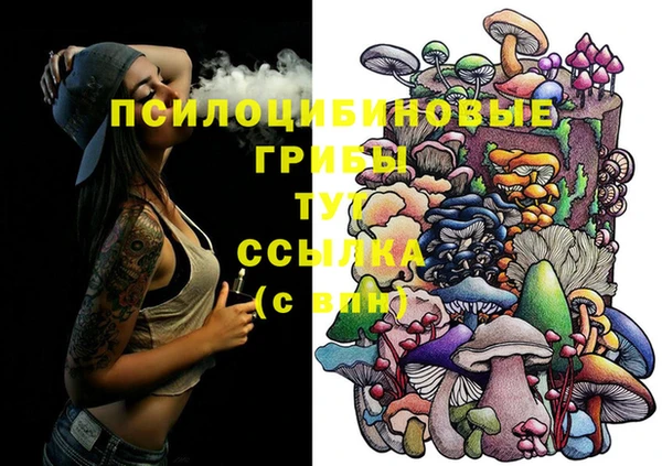 кокс Бородино