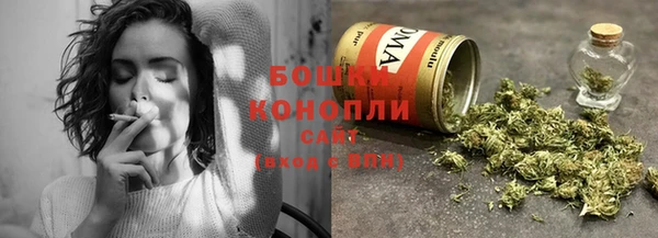 кокс Бородино