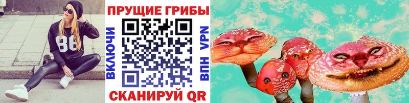 купить наркотики сайты  Зима  Псилоцибиновые грибы Magic Shrooms 
