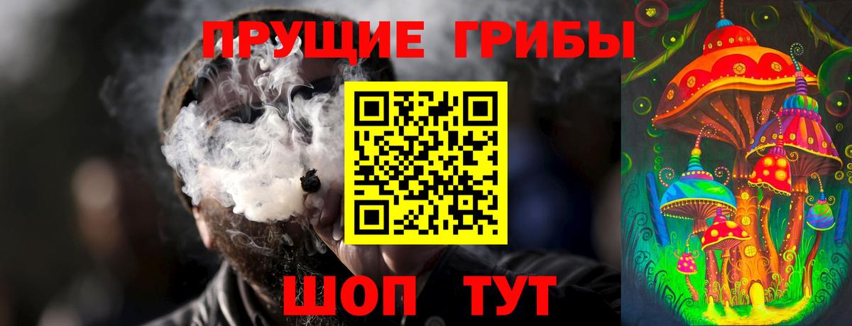 Галлюциногенные грибы GOLDEN TEACHER  Вход с VPN  купить   Зима 