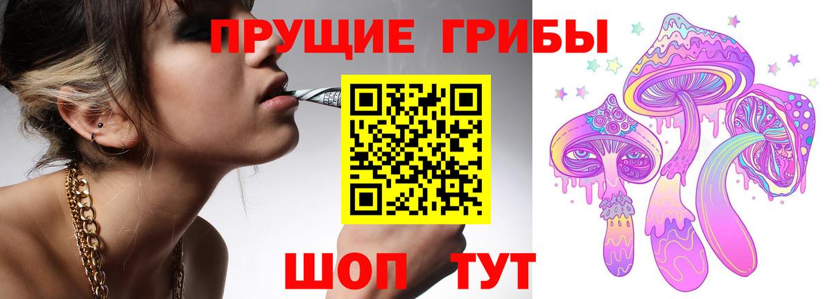 Псилоцибиновые грибы Cubensis Зима