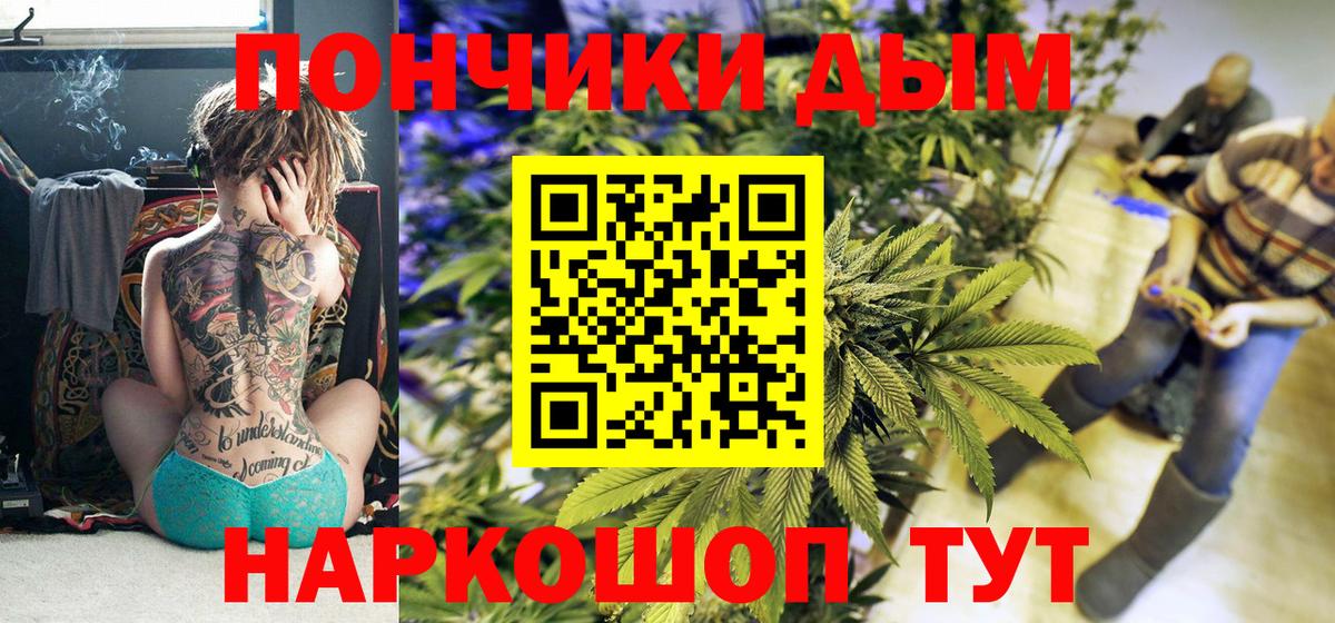 Галлюциногенные грибы Зима
